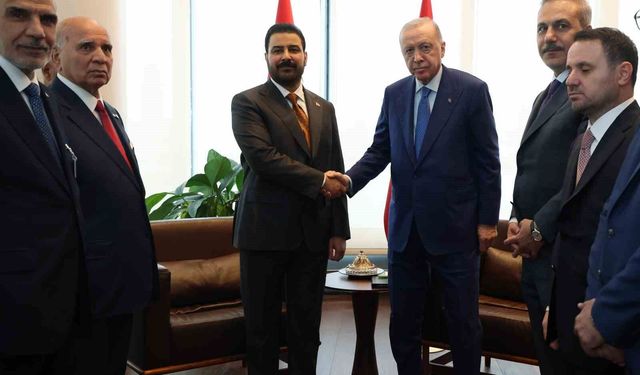 Cumhurbaşkanı Erdoğan, Irak Başbakanı Zeydi'yi kabul etti