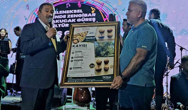 Darende'nin tescilli cevizi dünyaca ünlü rakibine fark attı