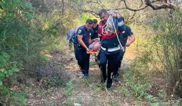 Defne'de ağaçtan düşen vatandaş yaralandı
