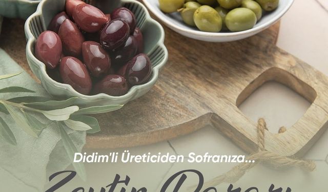 Didim Belediye Başkanı Gençay: 'Zeytin üreticilerimiz için yeni bir satış alanı oluşturuyoruz'