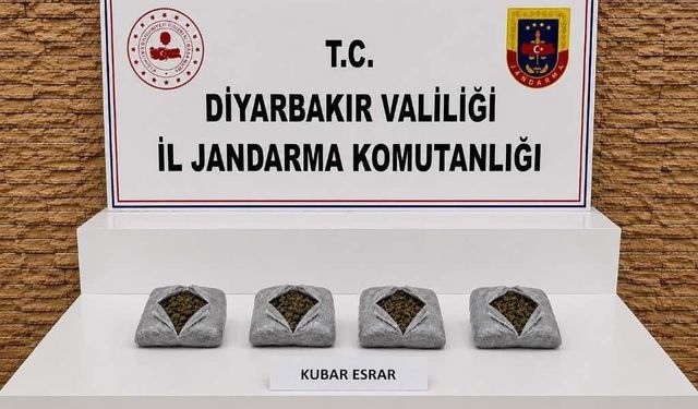 Diyarbakır'da 187 bin 391 kök kenevir, 25 buçuk kilo esrar ele geçirildi