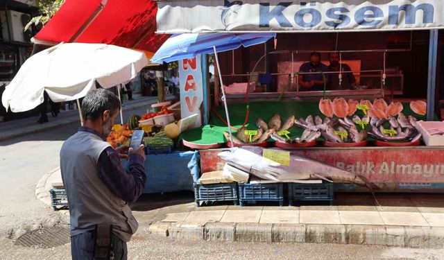 Elazığ'da 134 kiloluk dev orkinos tezgaha indi