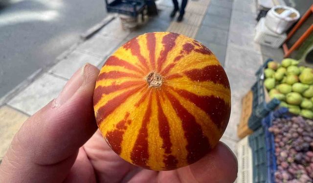 Elazığ'da kokulu süs kavunu tezgahlarda