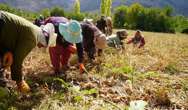 Erzincan'a 169,6 milyon liralık tarımsal hibe desteği