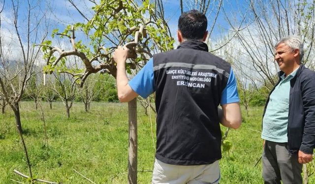 Erzincan'da çiftçilere sahada teknik destek
