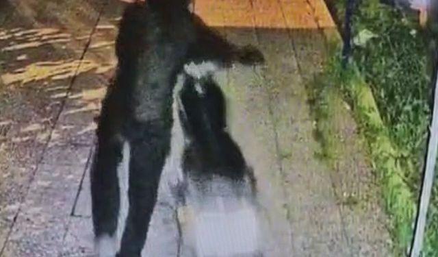 Evinin avlusundaki motosikleti çalınan vatandaşın 4 ay içerisinde ikinci kez motosikleti çalındı