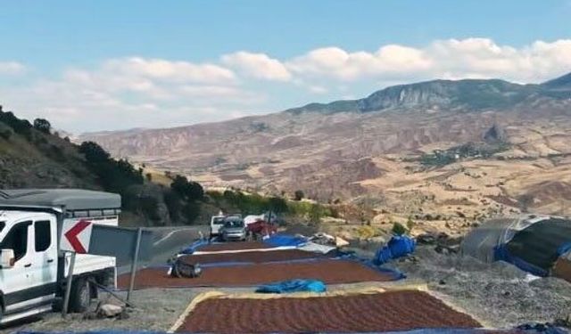 Fındık üreticilerinin güneş arayışı