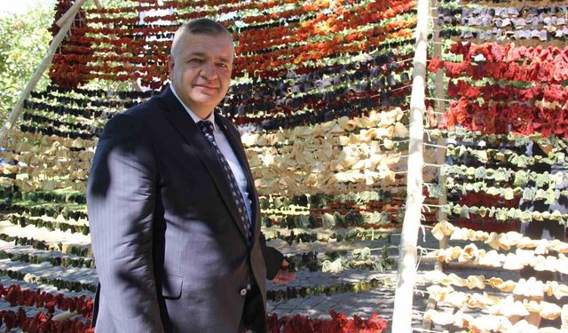 Gaziantep'te kurutmalık sezonu ekonomiye değer katıyor