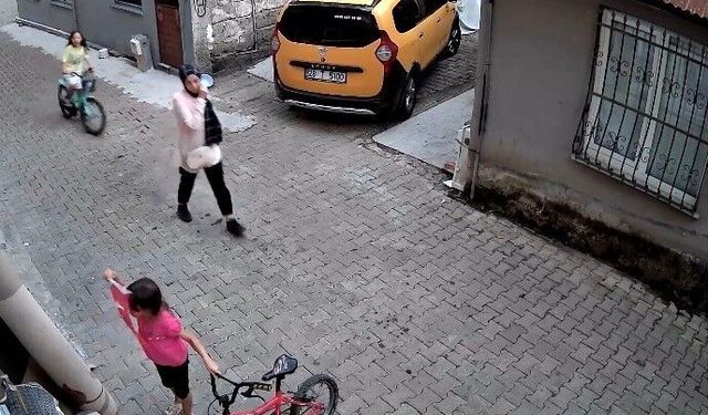 Giresun'da küçük Nehir'in bayrak hassasiyeti kamerada