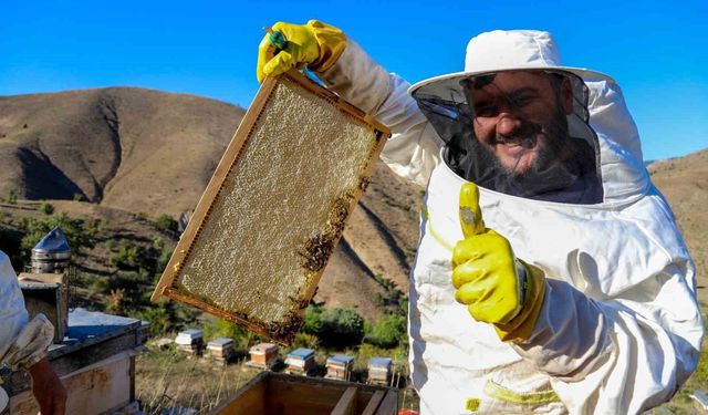 Gümüşhane'de bal hasadı sona erdi: Rekoltede yüzde 50'ye varan düşüş yaşandı