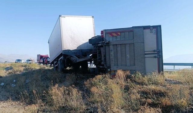 Iğdır'da eşeğe çarpmamak için manevra yapan kamyon kaza yaptı
