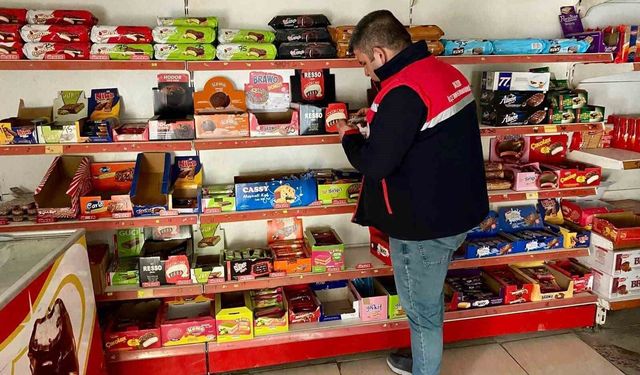 İlçelerde gıda denetimleri sürüyor