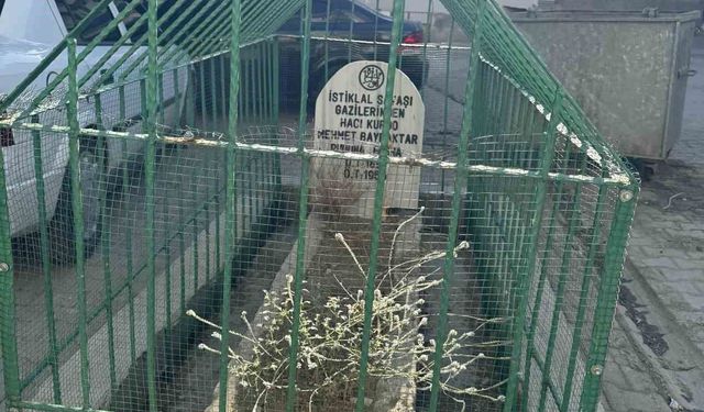 İstiklal Savaşı gazisinin mezarı yerleşim yerinin ortasında kaldı