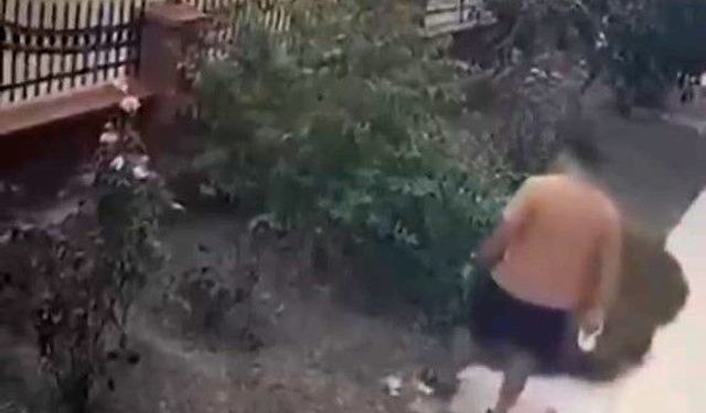 İzmir'de köpeğini gezdiren şahsın yavrulu kediye tekmeli saldırısı kamerada