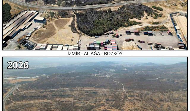 İzmir'de yanan ormanlar yeniden fidanla buluşuyor