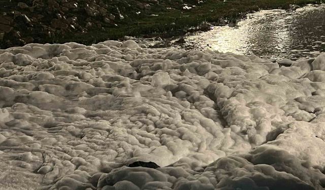 İzmit'te sahilde görülen köpükte tehlikeli bulguya rastlanmadı