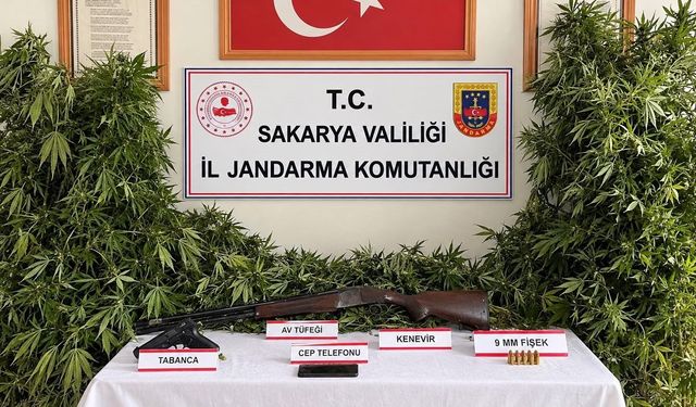 Jandarmadan 3 ilçede uyuşturucu operasyonu: 3 tutuklama