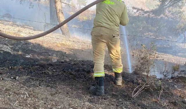 Kahramanmaraş'ta çıkan orman yangını kontrol altına alındı