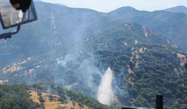 Kahramanmaraş'taki orman yangınları söndürüldü