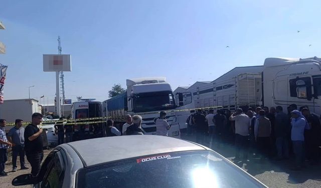 Kamyon şoförü aracında ölü bulundu