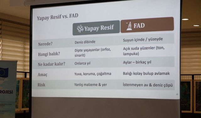 Karadeniz'in deniz çayırları haritalandı