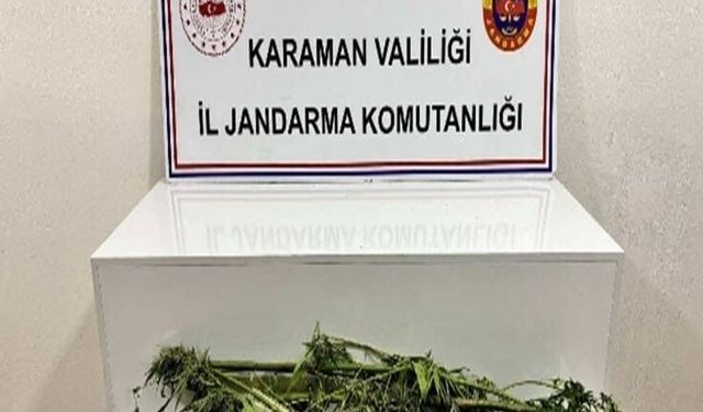 Karaman'da jandarmanın yakaladığı 31 şahıstan 11'i tutuklandı