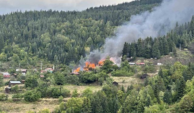 Kastamonu'da 4 ev alevlere teslim oldu