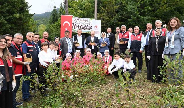 Kastamonu'da aronya hasadı başladı