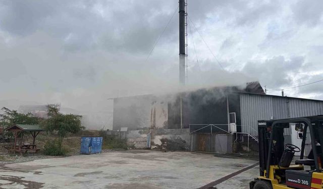 Kastamonu'da süt fabrikasının talaş silosunda çıkan yangın söndürüldü