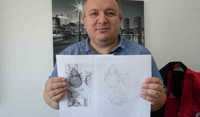 Kastamonu'da tespit edilen yeni akar türü bilim literatürüne kazandırıldı