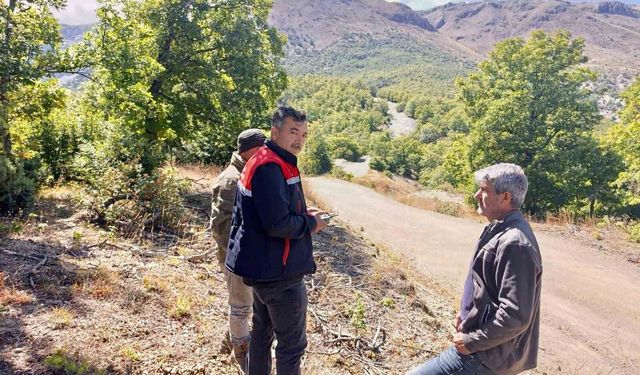 Kaybolan 9 büyükbaş hayvan dron ile bulundu