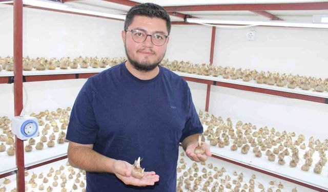 'Kayseri'de yetişmez' denildi, girişimci başardı