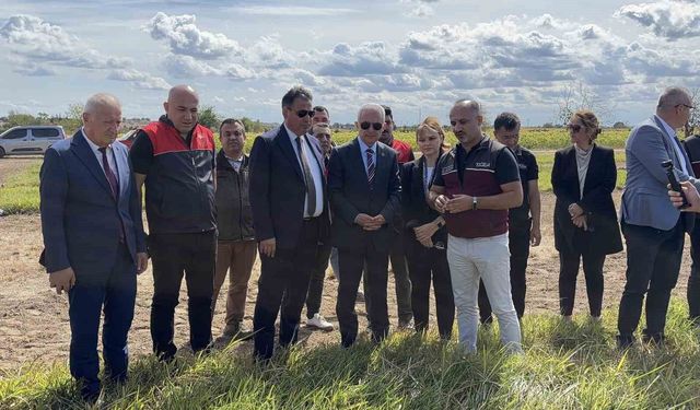 Kırklareli'nde meralar toprak altı damlama sulama sistemi ile verimliliği arttırılacak