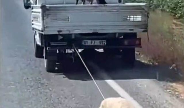 Köpeği kamyonetin arkasına bağlayıp sürükleyerek götürdü