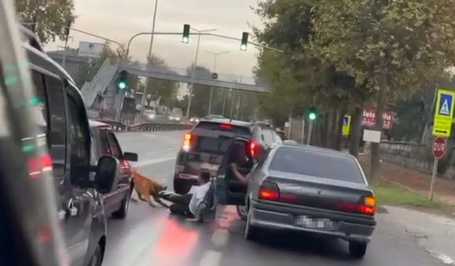 Köpeğin saldırısı ile dehşeti yaşamıştı: O anları anlattı