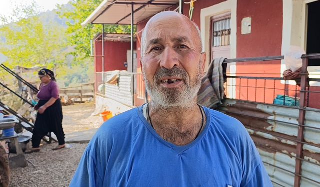 Kozan'daki yangından önce görüntülenen yeşil orman, yangın sonrası siyaha büründü