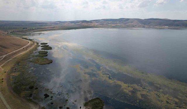 Kuruyan göl eski günlerine kavuştu, şimdiki hedef ise balık tutmak