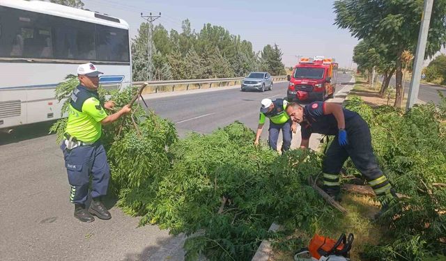 Kuvvetli rüzgar ağacı devirdi