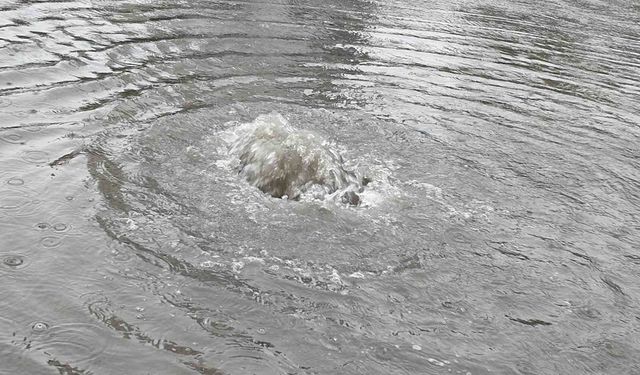 Mersin'de sağanak: Su taşkınları yaşandı