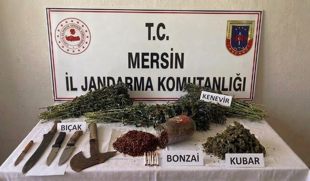 Mersin'de uyuşturucu operasyonu: 1 tutuklama