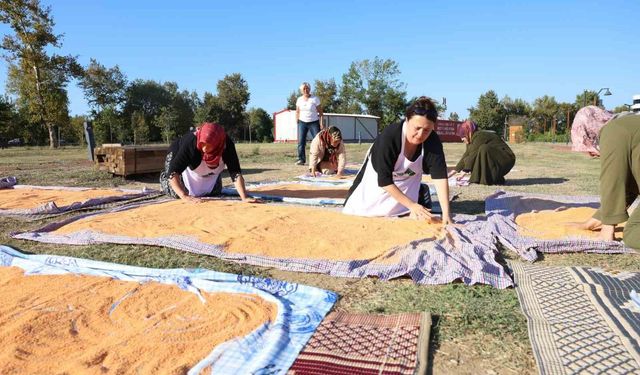 Osmangazi'de sonbahar bereketi tarhana imecesiyle başladı