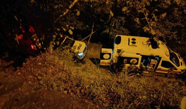 Rize'de araç uçuruma yuvarlandı: 2 kardeş öldü