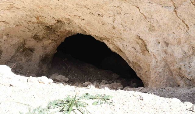 Pekmezin sırrı bu toprakta: Yozgat'tan Antalya'ya, Almanya'ya kadar gidiyor