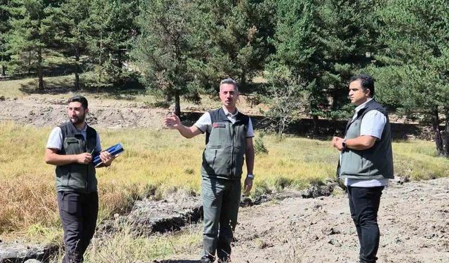 Sarıkamış Şehitleri Orman Parkı'nda yeni dönem: Doğayla iç içe yeşil alan etkinlik alanı için çalışmalar değerlendirildi