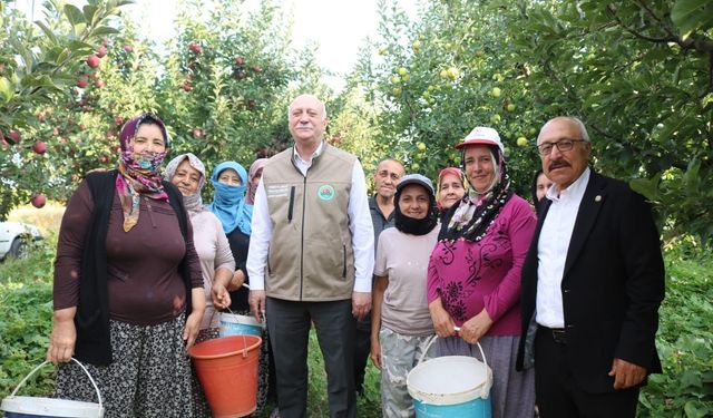 Şemsi Bayraktar'dan Çivril'de elma hasadı yaptı