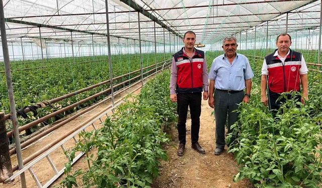 Simav'da seracılık faaliyetleri yerinde incelendi