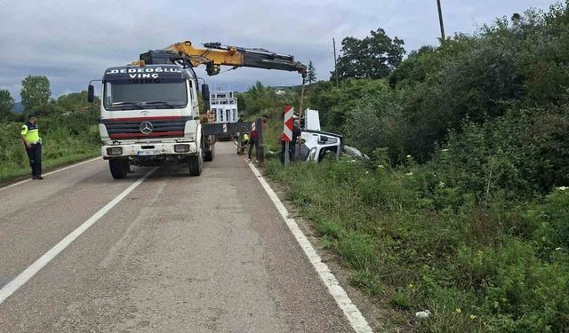 Sinop'ta cam yüklü kamyonet yoldan çıktı