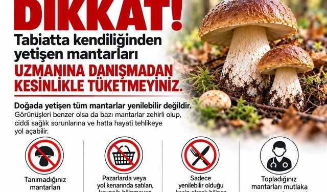 Sinop'ta mantar toplayıcılarına uyarı
