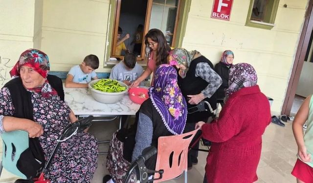 Sinop'ta nesiller buluştu, birlikte turşu kurdu