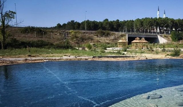 Sinop'ta yeşil kampüs çalışması